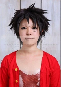 Monkey.D.Luffy PIÈCE UNIQUE Courte Noir hérissé cos COSPLAY cheveux - Imagen 1 de 3