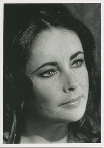 A29 A2982 - Elizabeth Taylor Portrait - Bild 1 von 1