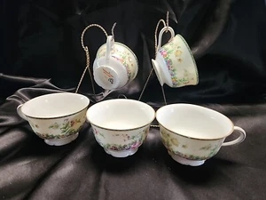 Porcelain Union Czechoslovakia Coffee Or Tea Cups Springtime Set Of 5 - Picture 1 of 6