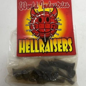 New World Industries Hell Raisers 1" per 3/8 bulloni e viti per skateboard - Foto 1 di 3