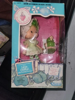 Muñeca Kenner Strawberry Shortcake 1980 abierta de colección de gasa lima y parfait 43970 Foto 1 de 2
