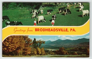 Postkarte Banner Karte mit Grüßen aus Brodheadsville, PA. - Bild 1 von 2