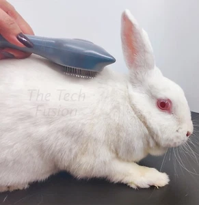 Pet Hair Grooming Self Cleaning brush & comb for dog cat Rabbit & Small animals - Picture 1 of 17
