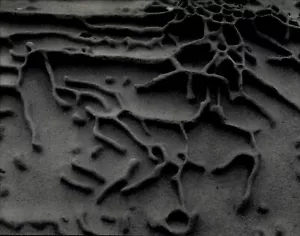 1942 1968 Original Edward Weston Curious Shore Eroded Rock Art Photo Gravure - Picture 1 of 1