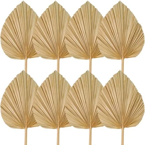 PIEZAS Palmeras Secas Decoraciones Recortadas Secas Sp1608 - Imagen 1 de 6