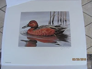#RW52   1985   Federal Duck Stamp Print   w/Folio  No Stamp     #RW52PC25 DSS - Picture 1 of 2