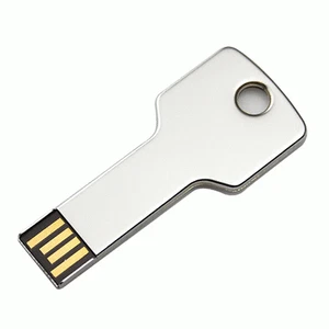 Nuevo 8 GB USB Plata Llave Forma Flash USB Memory Stick 8G # - Imagen 1 de 1