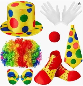 Clown Costume Set With Wig & Accessories - Picture 1 of 4