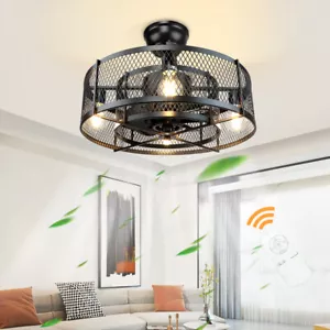 Depuley Caged Ceiling Fan with Lights Remote Control industrial Bladeless Fans - Picture 1 of 10
