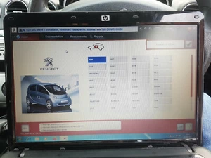 Peugeot Citroen Radio Vin Coding code Service remove beeping noise DIAGBOX