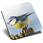 Square Single Coaster - Blue Tit Bird Garden Birds  #3119