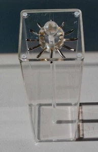 Acrylic, Covered Necklace Display Case w/ 12 hooks lift-off top for easy access - Picture 1 of 3