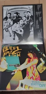 REEL BIG FISH 'TURN THE RADIO OFF' 2LP LE 500 Milky Clear Green & Orang Splatter - Picture 1 of 9