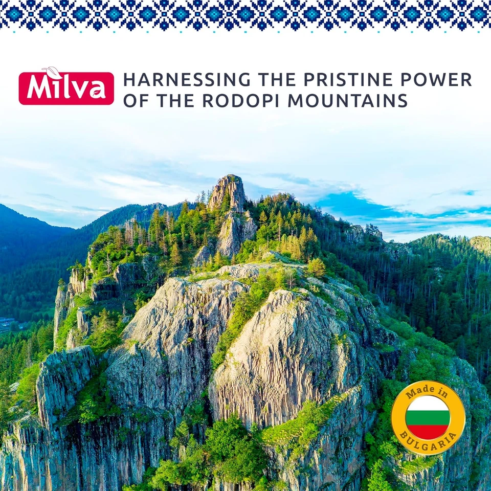 Milva Pinienteer Shampoo 500 ml Anti-Schuppen & Schuppenflechte Behandlung für juckende Kopfhaut - Bild 1 von 4