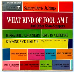 SAMMY DAVIS JR - Sings What Kind Of Fool Am I - Vinyl LP 1961 Reprise RS 6051 - Imagen 1 de 6