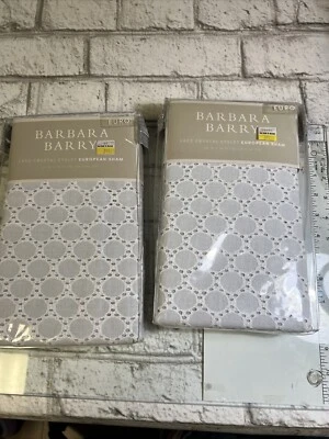 ALMOHADA EURO SHAM BARBARA BARRY ENCAJE CRISTAL OJAL 2 GLACIAR Gris BBB STOCK ANTIGUO Foto 1 de 4