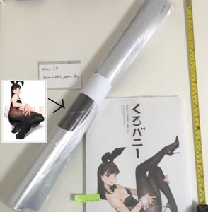 Kuro Bunny Medias Niña Libro de Arte Metal Cartel Set Yom Kanshu Algunas Ilustraciones de Artista - Imagen 1 de 2