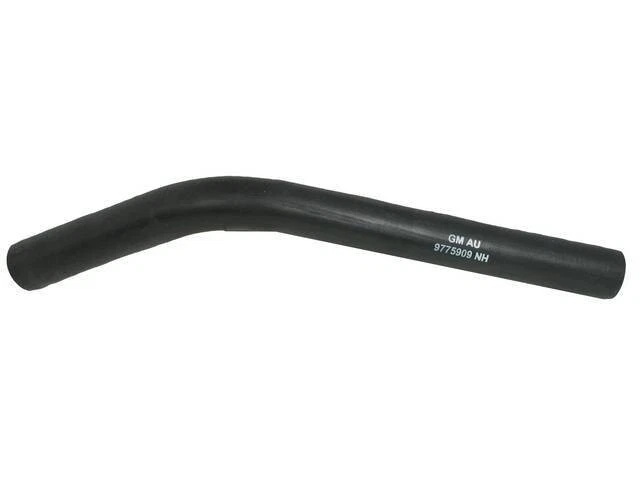 1964 Pontiac GTO LeMans Tempest Upper Radiator Hose GM 9775909 - Image 1 of 1