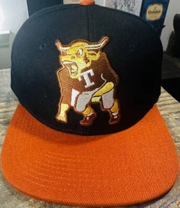 Texas Longhorns Hat - Picture 1 of 2