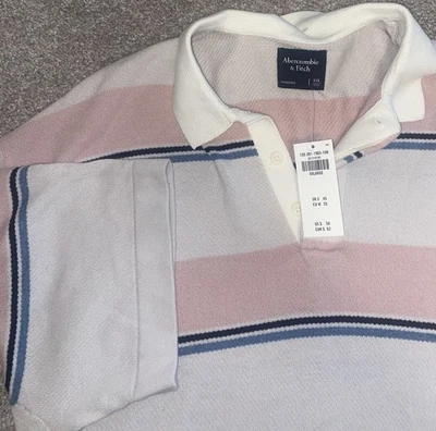 Abercrombie & Fitch Men's Striped Crew Neck Oversized Shirt NWT Pink/Blue/White - Image 1 of 4