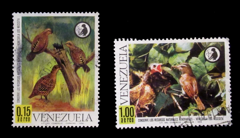 Venezuela Stamp 1968 Birds Used - Image 1 of 2