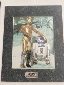 1994 Star Wars Chrome Art 11x14 C-3 PO and R2-D2 matted print with COA - Bild 1 von 3
