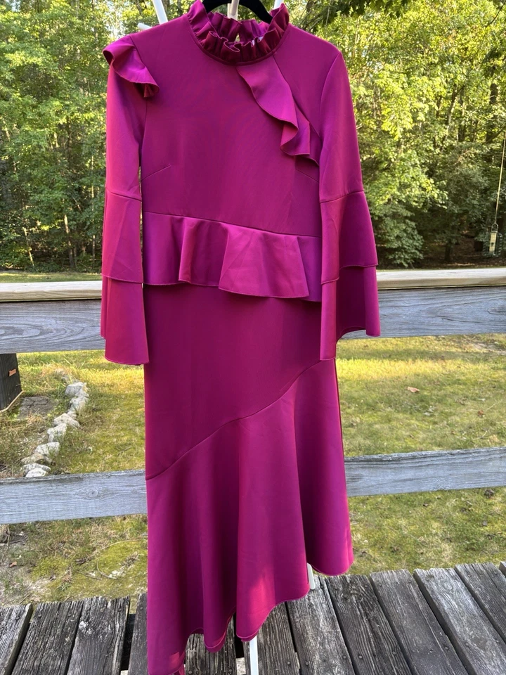 Hope Morgan женщин длинным рукавом высоты шеи макси платье розовый маленький оборки Belle - Изображение 1 из 4