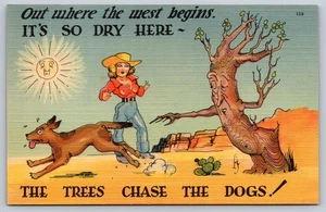 Postcard Comic Humor Cowgirl Out Where The West Begins Trees Chase The Dogs Sun - Picture 1 of 2