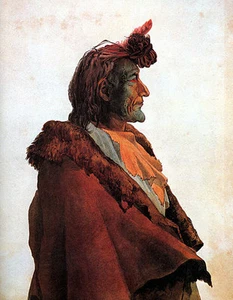 Estampado artístico indio nativo americano Plains Medicine Man 15x22 Bodmer  - Imagen 1 de 1