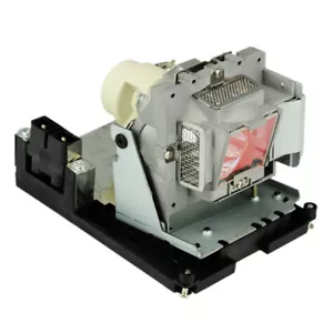 Bombilla de repuesto con carcasa para INFOCUS SP-LAMP-065 SP8600, IN8601 - Imagen 1 de 4