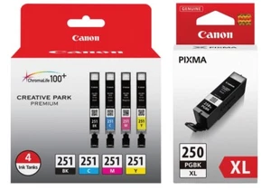 Juego de tinta original de 4 cartuchos Canon CLI-251 (6513B004) + PGI-250XL (6432B001) - Imagen 1 de 3
