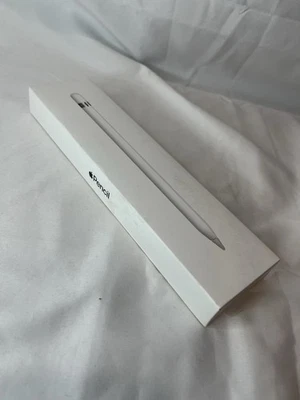 Apple Pencil (1ª generación) - SOLO CAJA Foto 1 de 4