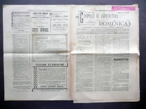 American Boccia Games Sonntagslandwirtschaftszeitung Nr. 30 29.7.1894 - Bild 1 von 2