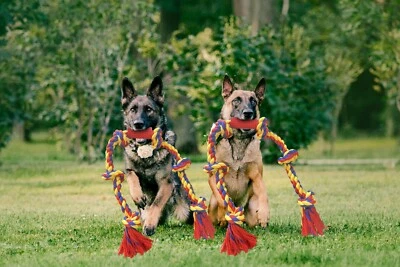 Big knots XXXL Unbreakable Dog Rope Toy for Large Breeds - BLINCOO Elite 48" - Image 1 of 4