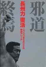 Booklet Tour Book Martial Arts Pamphlet The End Of Evil Ways Riki Choshu Revival