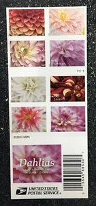 Dalias Forever 2025 EE. UU. - Folleto de 20 flores como nuevas - Imagen 1 de 2