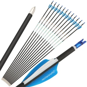 32" Pure Carbon Arrows 24T SP300-1000 ID4.2mm Recurve Bow Shooting Hunting 003" - Picture 1 of 34
