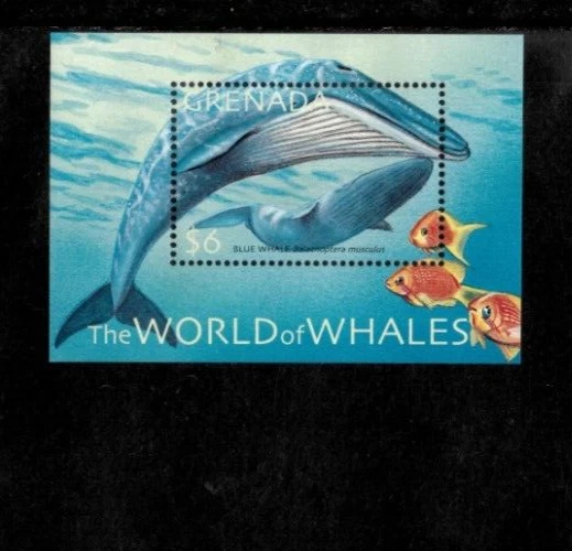 Grenada 2001 - Blue Whales - Souvenir Stamp Sheet - Scott #3188 - MNH - Image 1 of 1