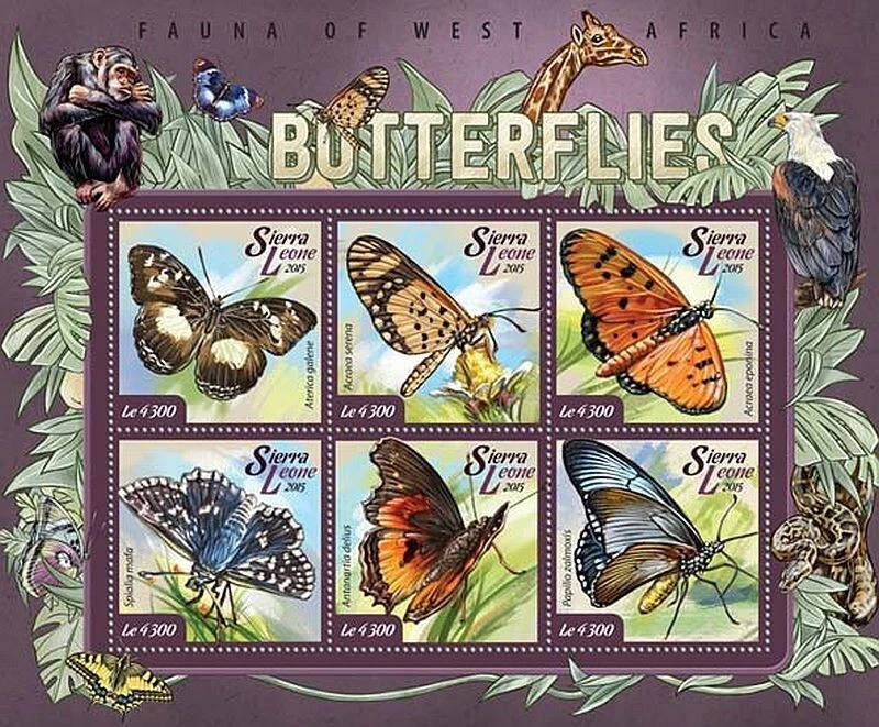 West Africa BUTTERFLIES Insect MNH Stamp Sheet #626 (2015 Sierra Leone) - Image 1 of 1