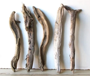 Treibholz Schwemmholz Driftwood 5 Hölzer Terrarium Dekoration  36-39 cm *251* - Bild 1 von 13