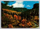 Spearfish Canyon Vintage Posted 1986 Industry California Postcard