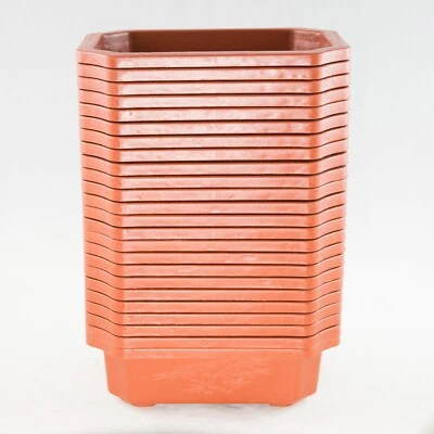 Maceta de entrenamiento rectangular naranja de plástico para cactus y suculentas, bonsai 6,25" - 9,25" Foto 1 de 4