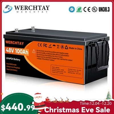 48伏100安LiFePO4电池带BMS深循环适用于船舶离网动力高尔夫车 — 第 1/4 张图片