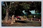 Kailua HI-Hawaii, Scenic View Of Road Area, Antique, Vintage Souvenir Postcard