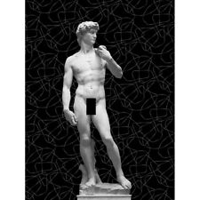 Statue David by Michelangelo Classic Abstract Black Canvas Wall Art Print Poster