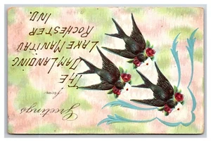 Sparrps Grüße vom Dam Landung Lake Manitou Rochester IN DB Postkarte XA6 - Bild 1 von 2