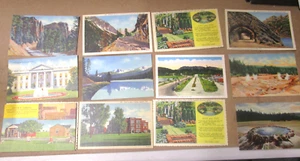Vintage Post Cards Lot Cook's Cabin The White House Yellowstone Park - Picture 1 of 4