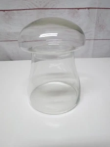 Vintage Glass Jar Mushroom 6” Apothecary Terrarium Clear Glass 1970s - Picture 1 of 9