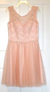 Mori Lee Madeline Gardner Dress Size 14 Pink Blush Lace Overlay Bodice Chiffon - Imagen 1 de 22