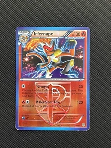 Infernape (Team Plasma) 17/135 Holograma Inverso Raro BW Plasma Tormenta Pokémon Juego de cartas coleccionables DMG - Imagen 1 de 4